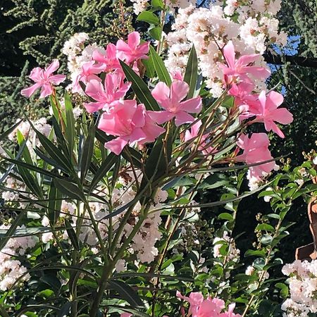 R&B Midora Modena Bed and Breakfast Εξωτερικό φωτογραφία