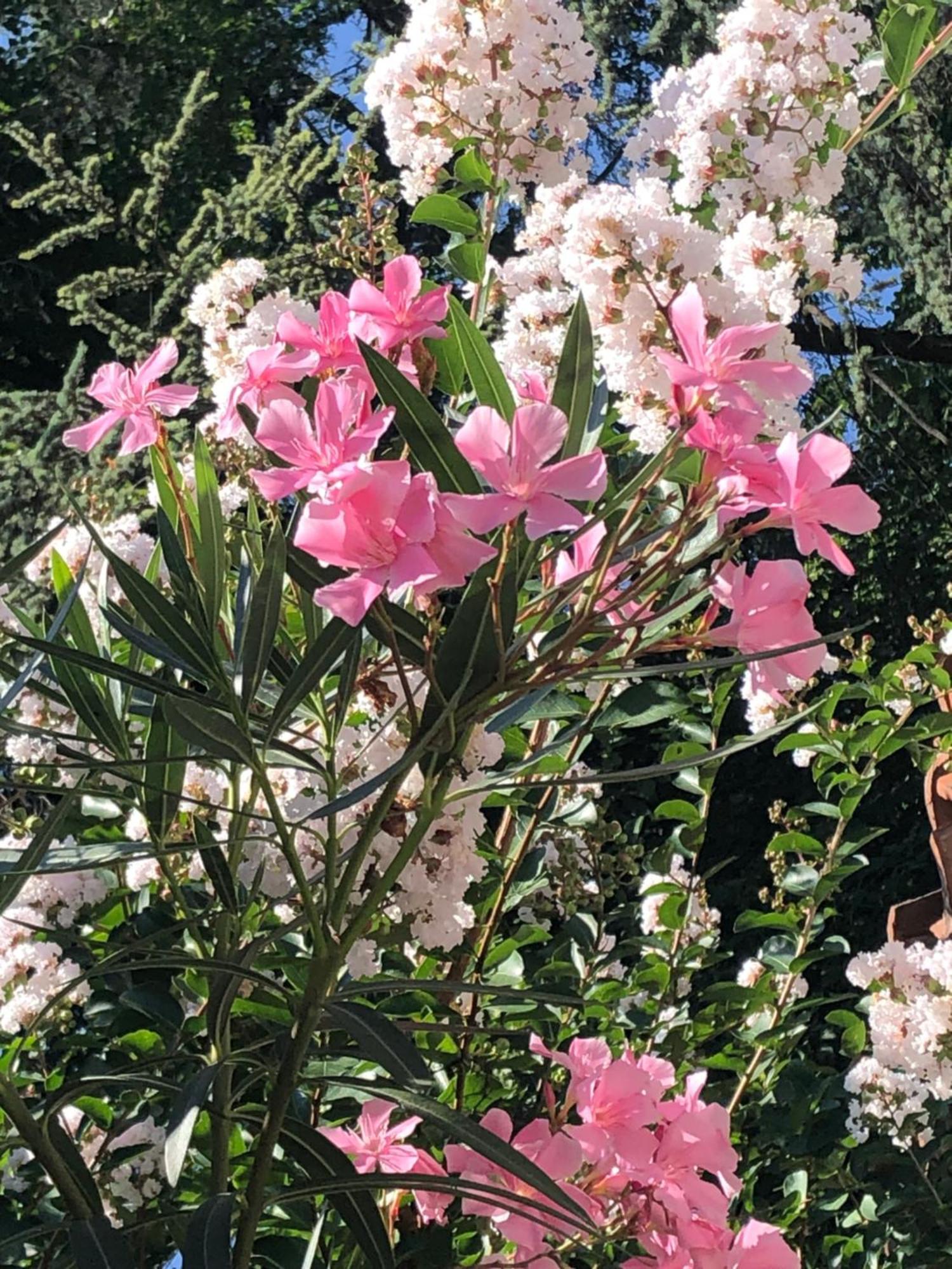 R&B Midora Modena Bed and Breakfast Εξωτερικό φωτογραφία